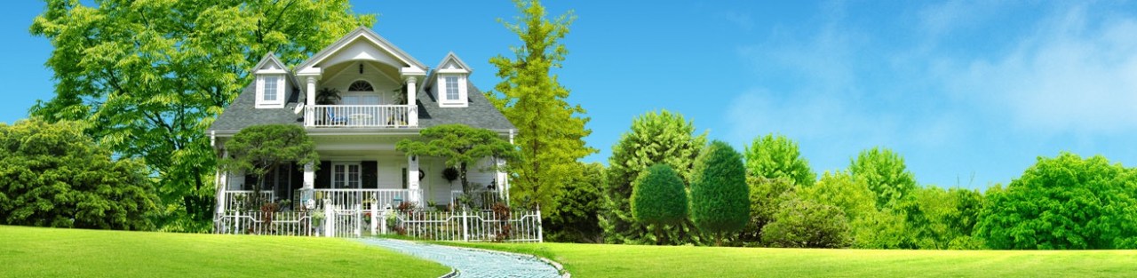 Nest 2.0 remote apps – Web, iOS, &&nbsp;Android