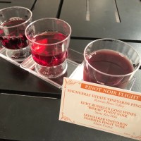 pinot-noir-flight-overall.jpg